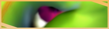 Filename=Gobf-oraH-18.jpg
Filesize=600KiB
Dimensions=1400x1600
Date added=May 22, 2011 Gobf-oraH-18.jpg