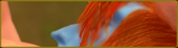 Filename=REQTwAlShem-18.jpg
Filesize=678KiB
Dimensions=1280x1600
Date added=May 22, 2011 REQTwAlShem-18.jpg