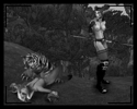 Filename=Selanaar_Saber_18.jpg
Filesize=293KiB
Dimensions=800x600
Date added=May 22, 2011 Selanaar_Saber_18.jpg